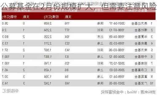 公募基金在2月份规模扩大，但需要注意风险