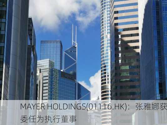 MAYER HOLDINGS(01116.HK)：张雅娜获委任为执行董事