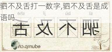 驷不及舌打一数字,驷不及舌是成语吗