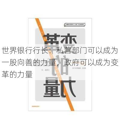 世界银行行长：私营部门可以成为一股向善的力量，政府可以成为变革的力量