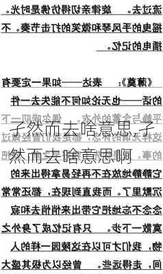 孑然而去啥意思,孑然而去啥意思啊