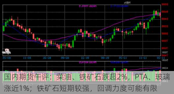 国内期货午评：菜油、铁矿石跌超2%，PTA、玻璃涨近1%；铁矿石短期较强，回调力度可能有限