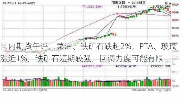 国内期货午评：菜油、铁矿石跌超2%，PTA、玻璃涨近1%；铁矿石短期较强，回调力度可能有限