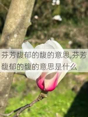 芬芳馥郁的馥的意思,芬芳馥郁的馥的意思是什么