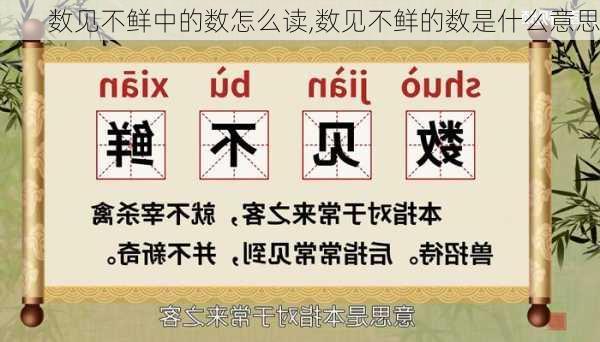 数见不鲜中的数怎么读,数见不鲜的数是什么意思