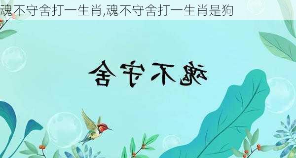 魂不守舍打一生肖,魂不守舍打一生肖是狗