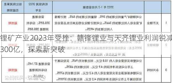 锂矿产业2023年受挫：赣锋锂业与天齐锂业利润锐减300亿，探索新突破