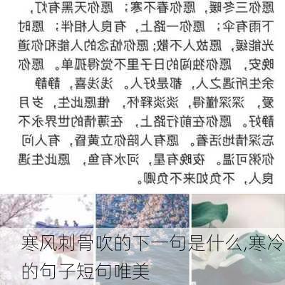 寒风刺骨吹的下一句是什么,寒冷的句子短句唯美