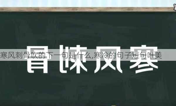 寒风刺骨吹的下一句是什么,寒冷的句子短句唯美