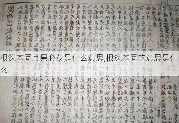 根深本固其果必茂是什么意思,根深本固的意思是什么