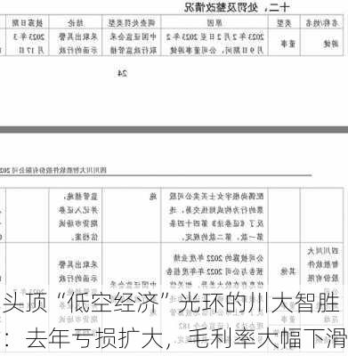 头顶“低空经济”光环的川大智胜：去年亏损扩大，毛利率大幅下滑