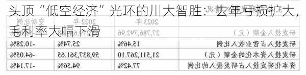 头顶“低空经济”光环的川大智胜：去年亏损扩大，毛利率大幅下滑