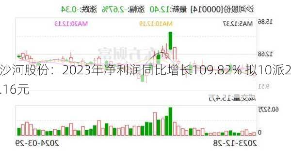 沙河股份：2023年净利润同比增长109.82% 拟10派2.16元