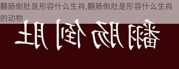 翻肠倒肚是形容什么生肖,翻肠倒肚是形容什么生肖的动物