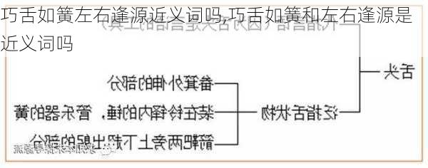 巧舌如簧左右逢源近义词吗,巧舌如簧和左右逢源是近义词吗