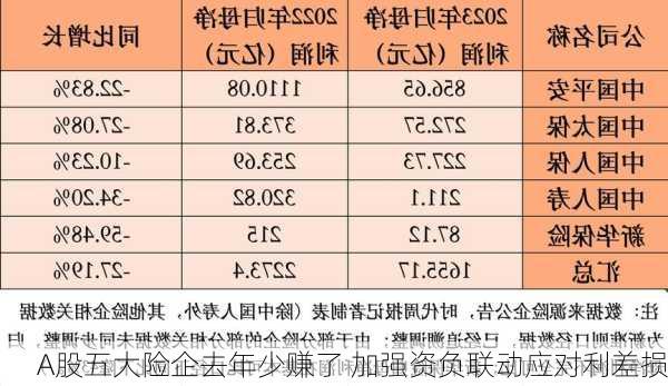 A股五大险企去年少赚了 加强资负联动应对利差损