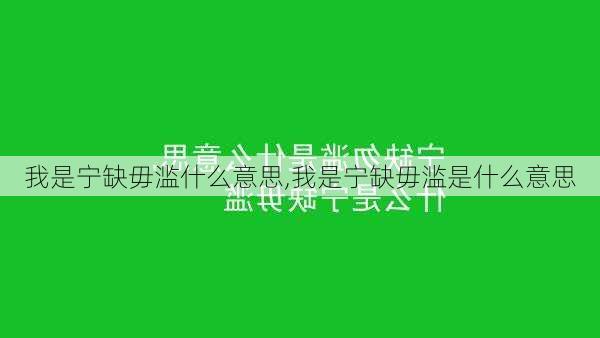 我是宁缺毋滥什么意思,我是宁缺毋滥是什么意思