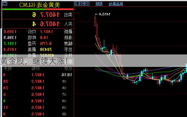 黄金股，继续大涨！