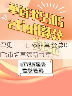 罕见！一日添四单 公募REITs市场再添新力军