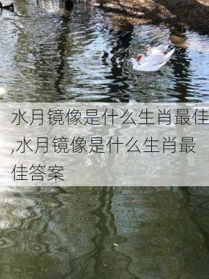 水月镜像是什么生肖最佳,水月镜像是什么生肖最佳答案