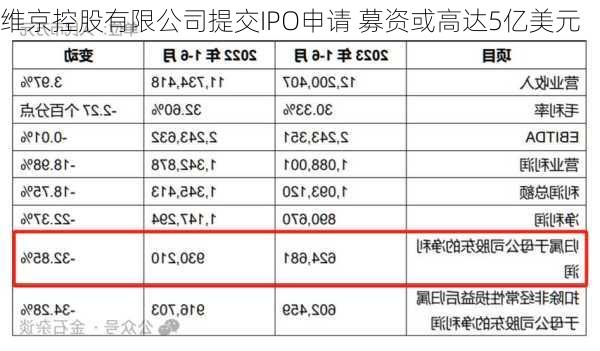 维京控股有限公司提交IPO申请 募资或高达5亿美元