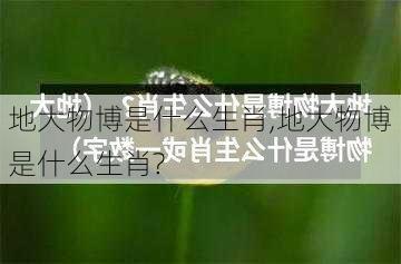 地大物博是什么生肖,地大物博是什么生肖?