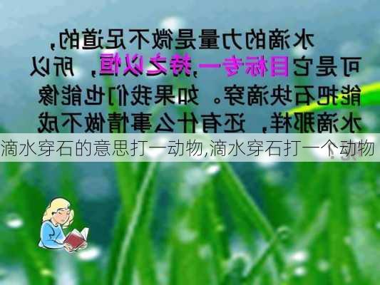 滴水穿石的意思打一动物,滴水穿石打一个动物