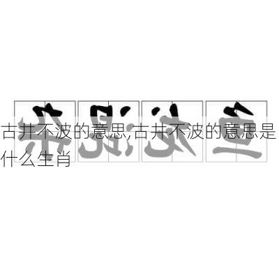 古井不波的意思,古井不波的意思是什么生肖