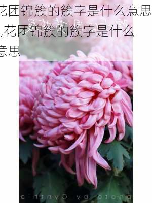 花团锦簇的簇字是什么意思?,花团锦簇的簇字是什么意思