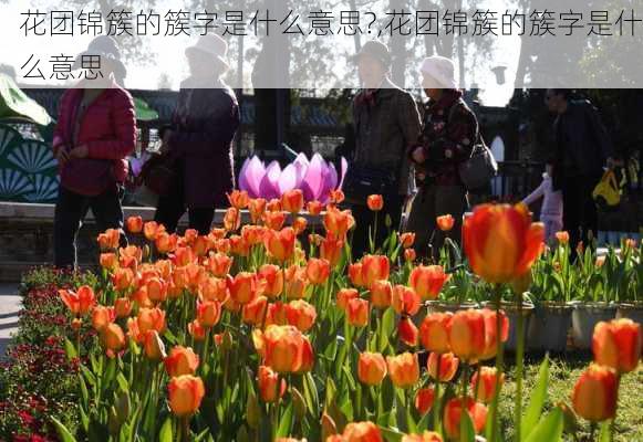 花团锦簇的簇字是什么意思?,花团锦簇的簇字是什么意思