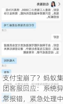 支付宝崩了？蚂蚁集团客服回应：系统异常报错，紧急处理中