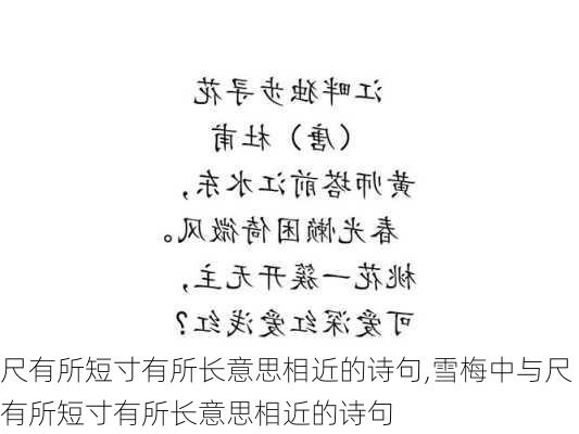 尺有所短寸有所长意思相近的诗句,雪梅中与尺有所短寸有所长意思相近的诗句