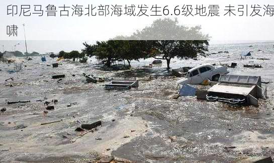 印尼马鲁古海北部海域发生6.6级地震 未引发海啸