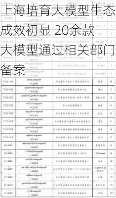 上海培育大模型生态成效初显 20余款大模型通过相关部门备案