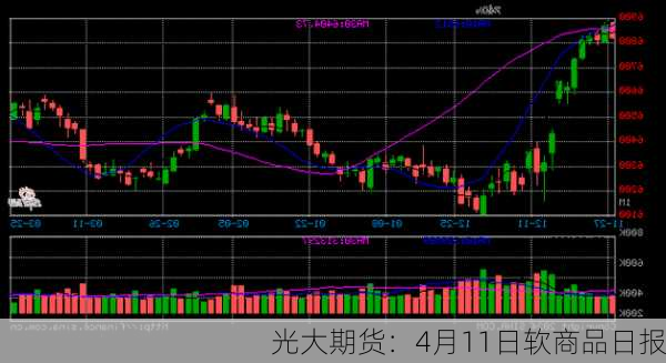 光大期货：4月11日软商品日报