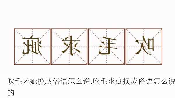 吹毛求疵换成俗语怎么说,吹毛求疵换成俗语怎么说的