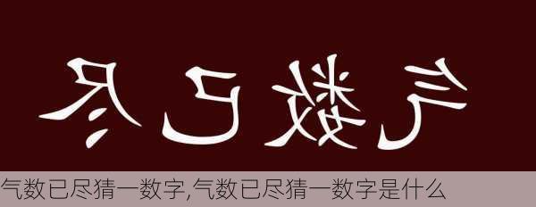 气数已尽猜一数字,气数已尽猜一数字是什么