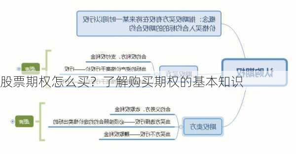 股票期权怎么买？了解购买期权的基本知识