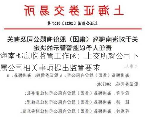 海南椰岛收监管工作函：上交所就公司下属公司相关事项提出监管要求