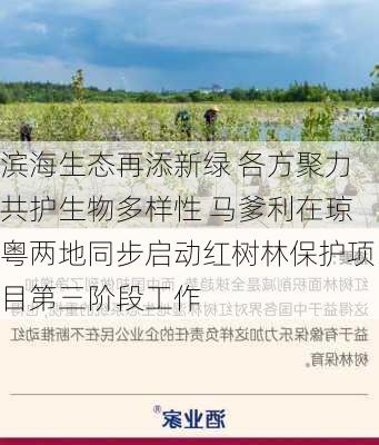 滨海生态再添新绿 各方聚力共护生物多样性 马爹利在琼粤两地同步启动红树林保护项目第三阶段工作