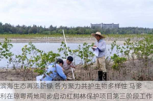 滨海生态再添新绿 各方聚力共护生物多样性 马爹利在琼粤两地同步启动红树林保护项目第三阶段工作