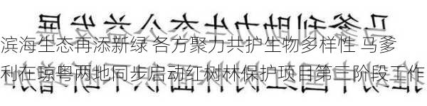 滨海生态再添新绿 各方聚力共护生物多样性 马爹利在琼粤两地同步启动红树林保护项目第三阶段工作