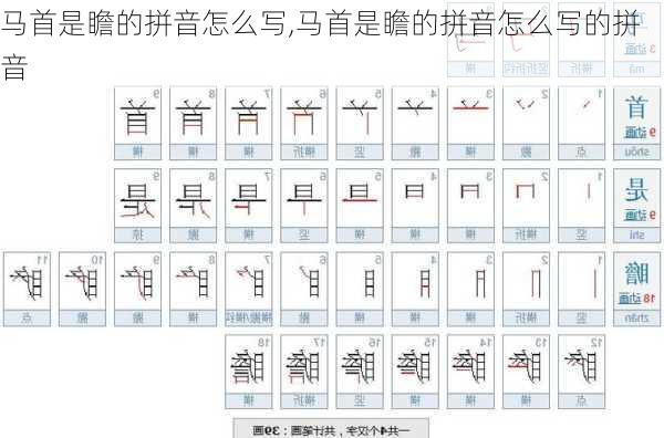 马首是瞻的拼音怎么写,马首是瞻的拼音怎么写的拼音