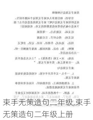 束手无策造句二年级,束手无策造句二年级上册