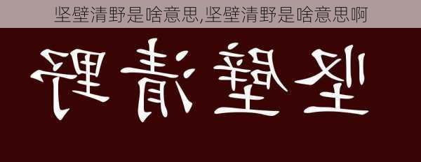 坚壁清野是啥意思,坚壁清野是啥意思啊