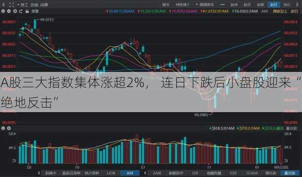 A股三大指数集体涨超2%， 连日下跌后小盘股迎来“绝地反击”