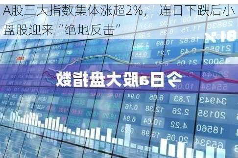 A股三大指数集体涨超2%， 连日下跌后小盘股迎来“绝地反击”