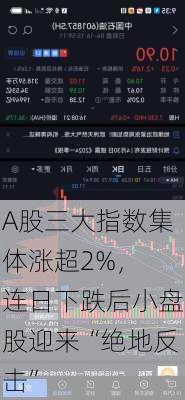 A股三大指数集体涨超2%， 连日下跌后小盘股迎来“绝地反击”