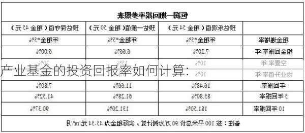 产业基金的投资回报率如何计算: