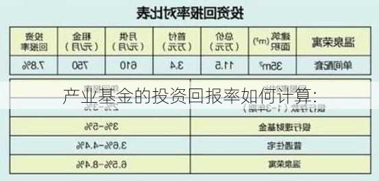 产业基金的投资回报率如何计算: